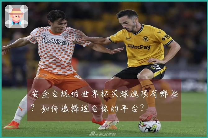 安全合规的世界杯买球选项有哪些？如何选择适合你的平台？