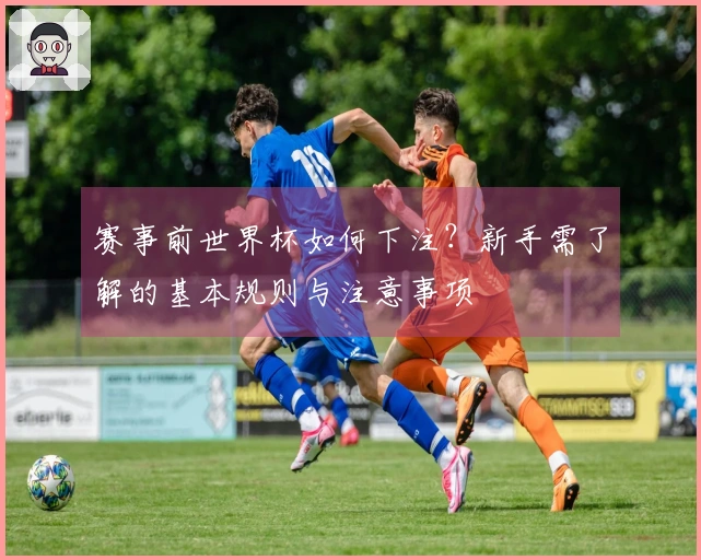 赛事前世界杯如何下注？新手需了解的基本规则与注意事项