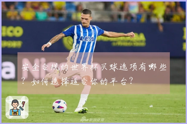 安全合规的世界杯买球选项有哪些？如何选择适合你的平台？