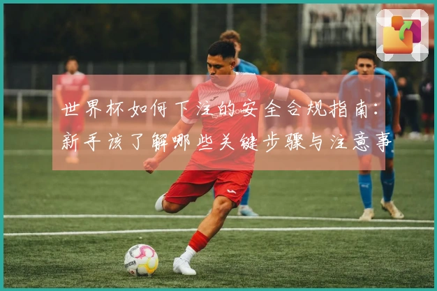 世界杯如何下注的安全合规指南：新手该了解哪些关键步骤与注意事项