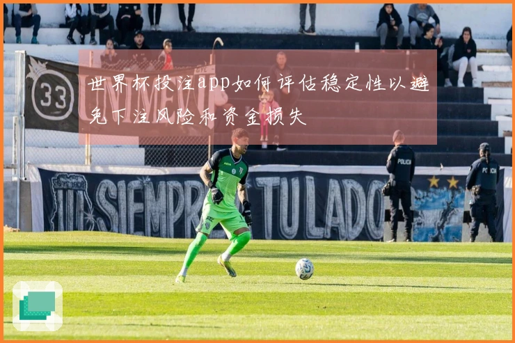 世界杯投注app如何评估稳定性以避免下注风险和资金损失