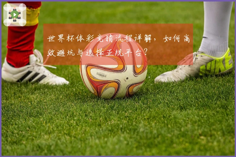 世界杯体彩竞猜流程详解，如何高效避坑与选择正规平台？