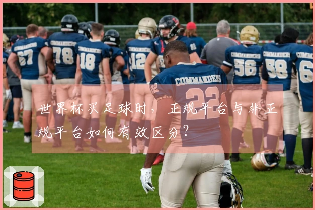 世界杯买足球时，正规平台与非正规平台如何有效区分？
