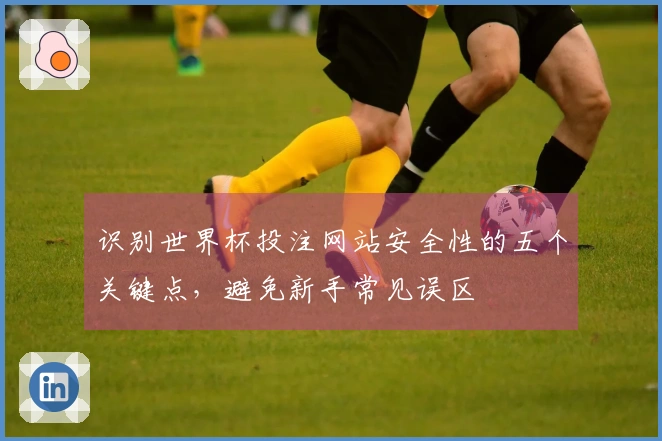 识别世界杯投注网站安全性的五个关键点，避免新手常见误区
