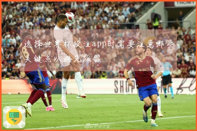选择世界杯投注app时需要注意哪些关键点以避免踩雷
