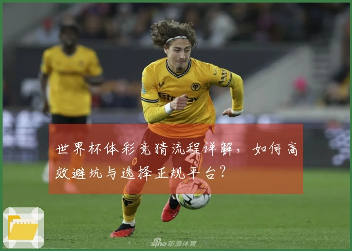 世界杯体彩竞猜流程详解，如何高效避坑与选择正规平台？