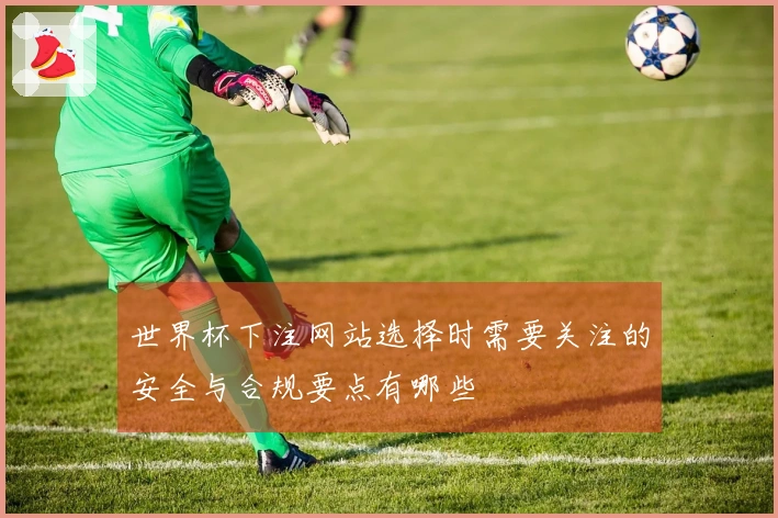世界杯下注网站选择时需要关注的安全与合规要点有哪些