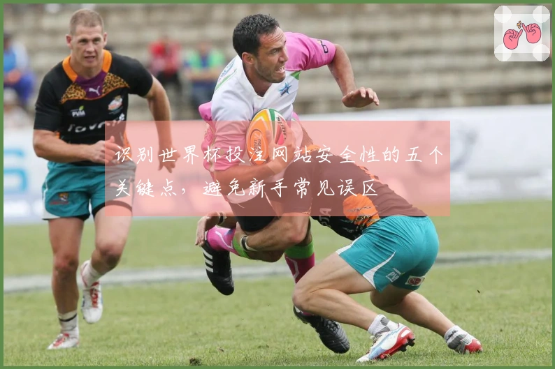 识别世界杯投注网站安全性的五个关键点，避免新手常见误区