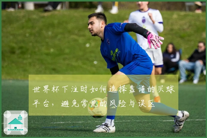 世界杯下注时如何选择靠谱的买球平台，避免常见的风险与误区