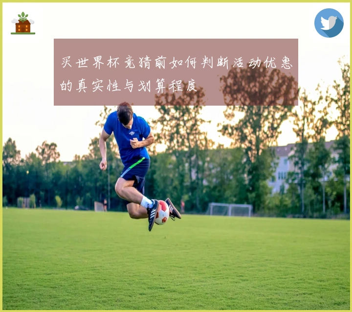 买世界杯竞猜前如何判断活动优惠的真实性与划算程度