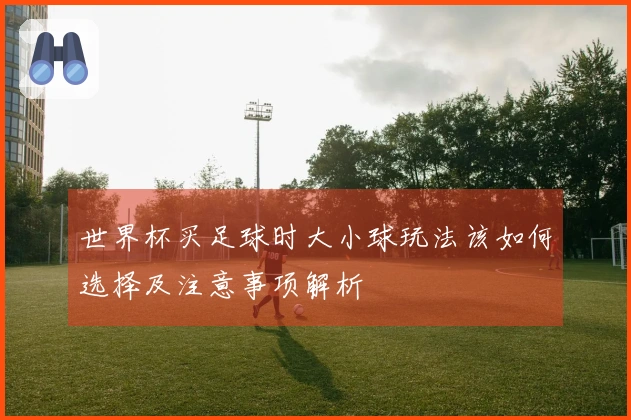 世界杯买足球时大小球玩法该如何选择及注意事项解析