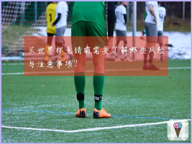 买世界杯竞猜前需要了解哪些风险与注意事项？