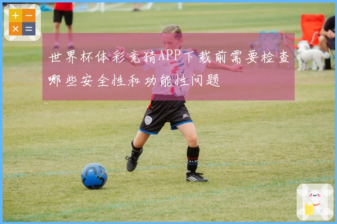 世界杯体彩竞猜APP下载前需要检查哪些安全性和功能性问题