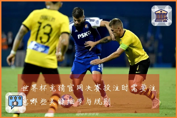 世界杯竞猜官网决赛投注时需要注意哪些关键细节与规则
