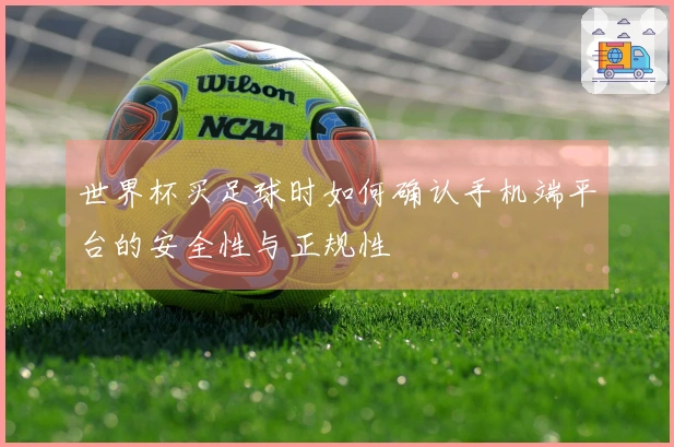 世界杯买足球时如何确认手机端平台的安全性与正规性